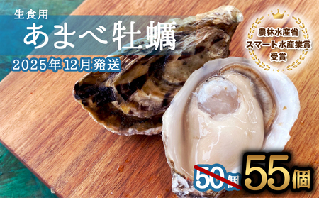 先行予約 あまべ牡蠣 55個 牡蠣 シングルシード 生食用 殻付き かき カキ オイスター 生ガキ 生牡蠣 生がき 生かき ギフト 貝 旨味【2026年1月7日～発送】