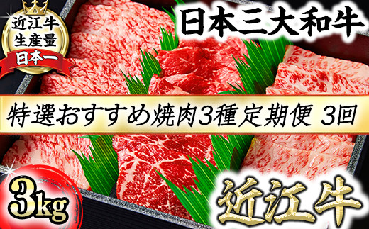 【定期便】A5等級特選近江牛おすすめ部位 焼肉3種（1kg×3回）【FO21U】