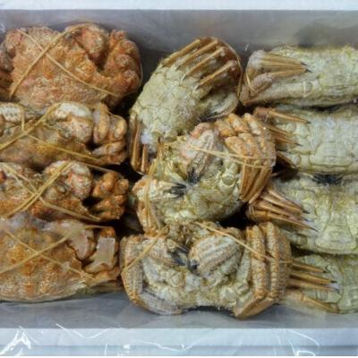 ふるさと納税 根室市 【北海道根室産】クリガニ14〜18尾(計3kg前後) A-57062 |  | 01