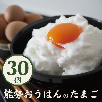 【ふるさと納税】「さぁ!ご飯にのせ玉子」モノクロ鶏の極上個性たまご30個【配送不可地域：離島】【1669298】