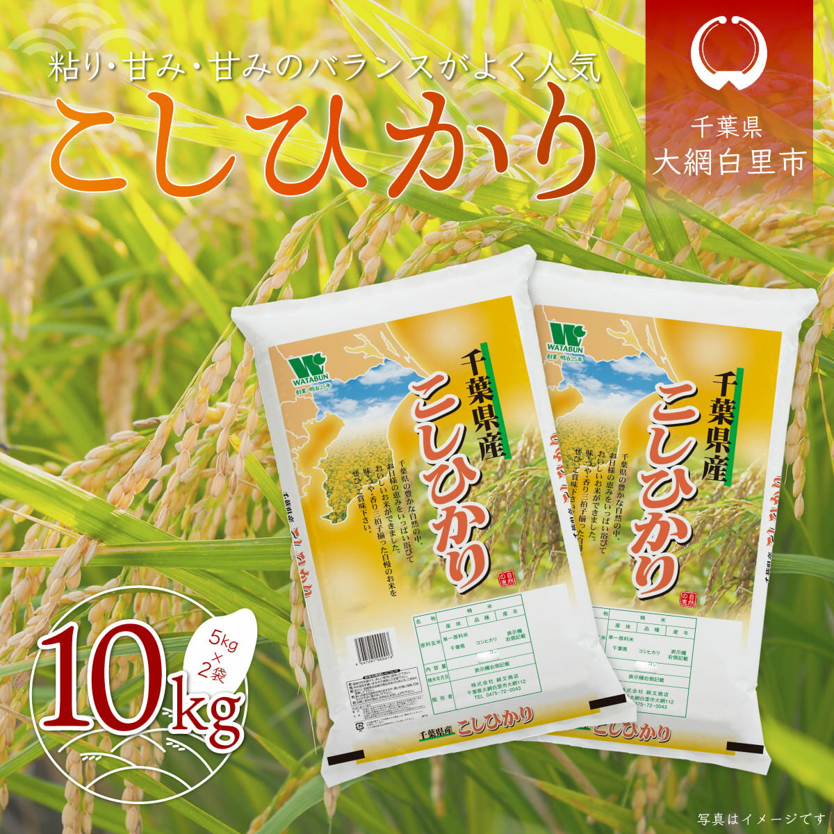 【ふるさと納税】【新米 先行受付】令和7年産 千葉県産「コシヒカリ」10kg（5kg×2袋）） お米 10kg 千葉県産 大網白里市 コシヒカリ 米 精米 こめ 送料無料 A055