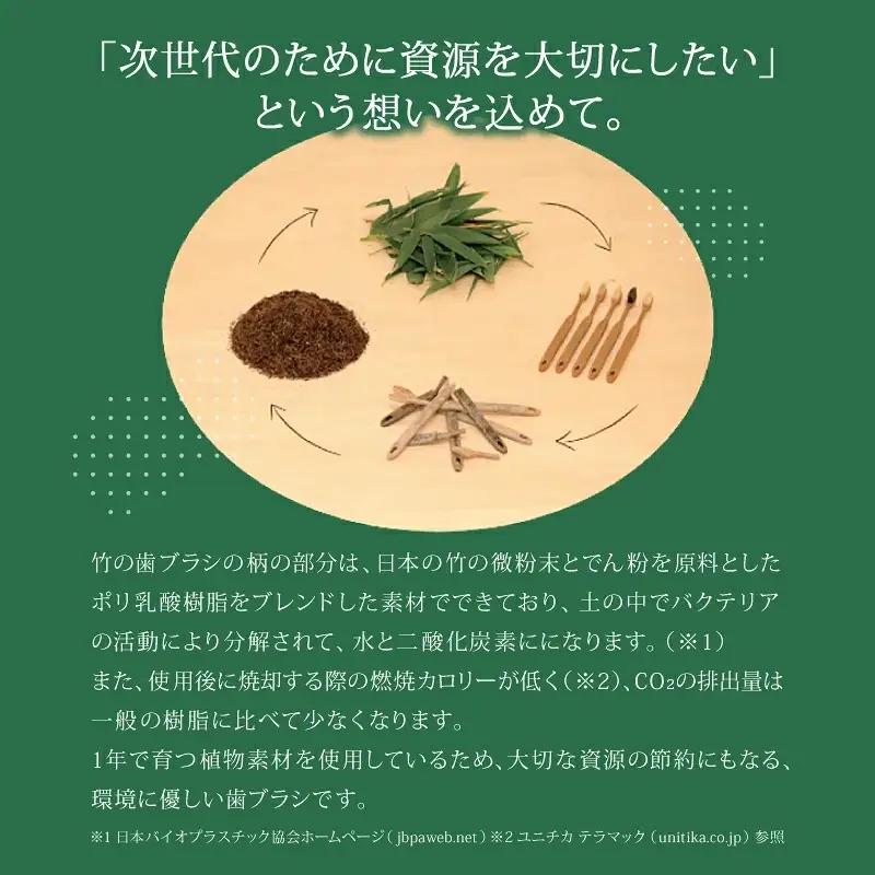 SDGs MEGURU 竹の歯ブラシ 花馬毛 4本セット SDGs 【fain0006】