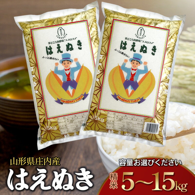 【ふるさと納税】令和7年産 はえぬき 精米　容量お選びください［5kg・10kg・15kg］ 山形県 庄内産 | 鶴岡市 楽天ふるさと 納税 返礼品 白米 精米 美味しい お米 おいしい おこめ コメ ブランド米 キロ 名産品 特産品