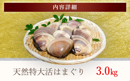 【千葉県ブランド認定】天然特大活はまぐり《3㎏》ギフトBOX付き／ふるさと納税 はまぐり ハマグリ 蛤 貝類 魚介 海鮮 お吸い物 パスタ パエリア お歳暮 贈答 お祝い 千葉県 山武市 SMBO00