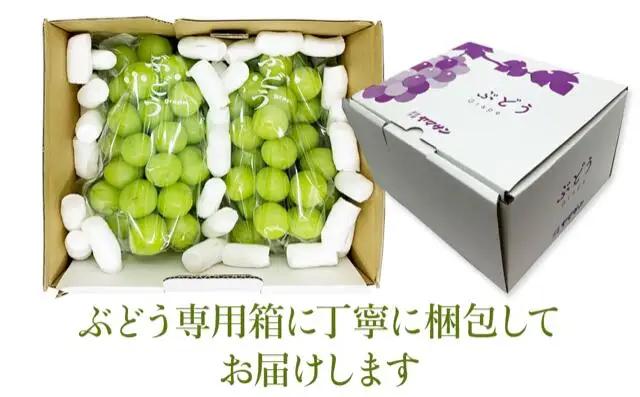 シャインマスカット 約2kg（4~6房）※最低1.8kg以上|シャインマスカット2kg