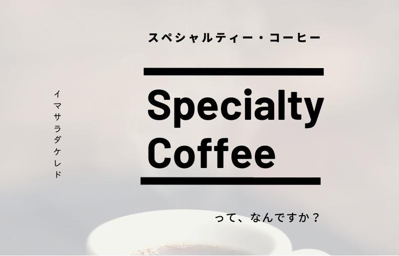 スペシャルティコーヒー焙煎豆 中浅煎り 300g 定期便 全6回【2か月に1回配送 珈琲 COFFEE コーヒー オリジナル キャンプ アウトドア】 G1409