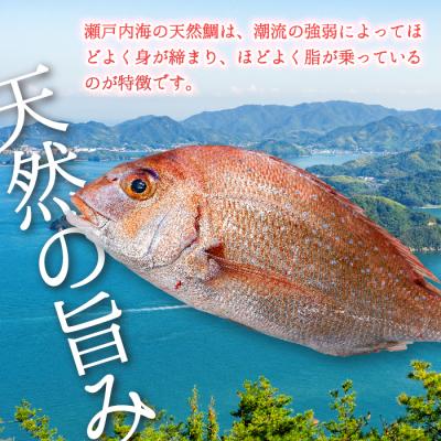 ふるさと納税 三原市 瀬戸内産天然真鯛 約1.5kg(500g×3匹/三枚おろし)[154-002] |  | 01