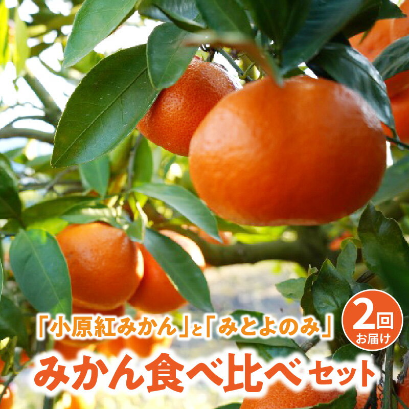 【ふるさと納税】みかん 定期便 2回 5kg×2 小原紅みかん みとよのみ 食べ比べ セット [ 家庭用 柑橘 フルーツ 果物 産地直送 自宅用 旬 甘い ジューシー 大容量 お取り寄せグルメ 送料無料 30000円 国産 返礼品 香川県 三豊市 まるく農園 ]