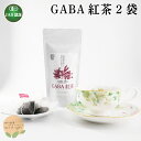 【ふるさと納税】 GABA紅茶 2袋 セット 熊本 美里町 JAS認証 GABA さえあかり 茶 ティーバック 熊本県 ティー tea bag 有機認証 農薬不使用 化学肥料不使用 有機肥料