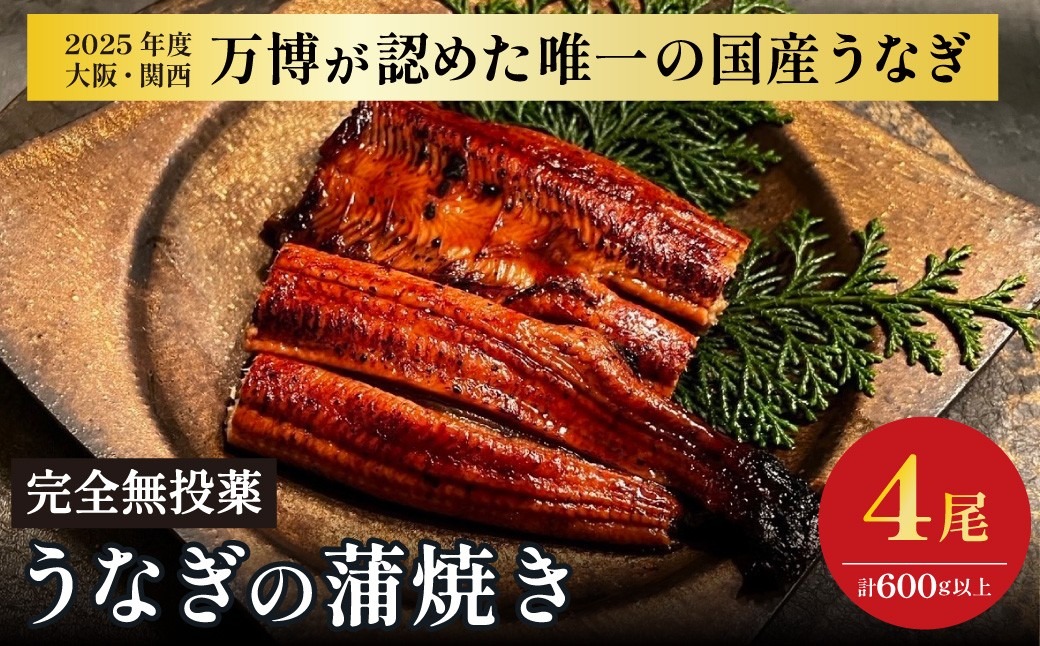 鰻 鰻の蒲焼き4尾セット｜ 国産うなぎ 国産 美陵鰻 うなぎ ウナギ 鰻 かば焼き 蒲焼きせいろ蒸し 土用の丑の日 土用 丑の日 贈答 贈り物 大阪府 阪南市 送料無料 ギフト 特大 肉厚 うな重 うな丼 ひつまぶし 惣菜 おかず タレ 山椒 ワサビ れいわ水産