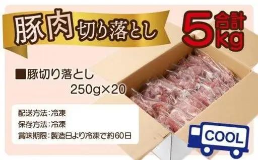《2026年10月発送》豚肉切り落とし 250g×20パック 合計5kg_K033-030-10