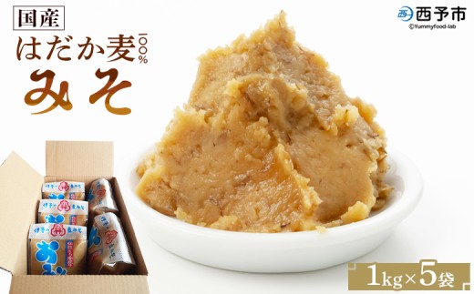 ＜国産 はだか麦 100％ みそ 5kg（1kg×5袋）＞ 味噌 天然醸造 伝統製法 こうじ蓋 麹蓋製法 麦麹 自然発酵 手作業 長期熟成 国産麦 麦味噌 麦みそ 発酵食品 だるまや 愛媛県 西予市【常温】『1か月以内に順次出荷』