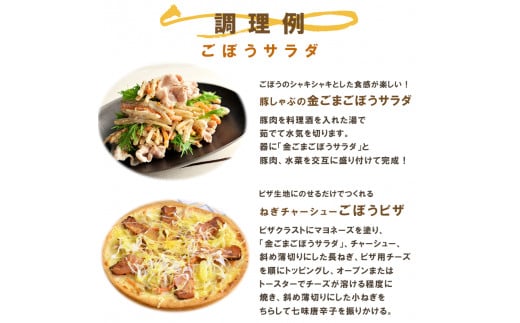 サラダのプロがつくった サラダ 2種類 セット 40袋 個包装 ポテトサラダ ポテサラ 金ごま ごぼうサラダ レトルト パウチ 小分け お弁当 ご飯 おかず サラダ 食べ切り サイズ ケンコーマヨネー