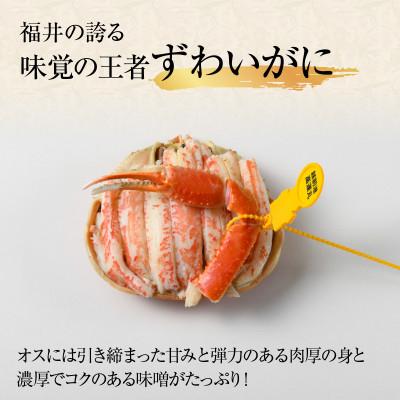 ふるさと納税 福井市 甲羅盛り夫婦食べ比べセットずわい蟹2個・せいこ蟹2個 |  | 01