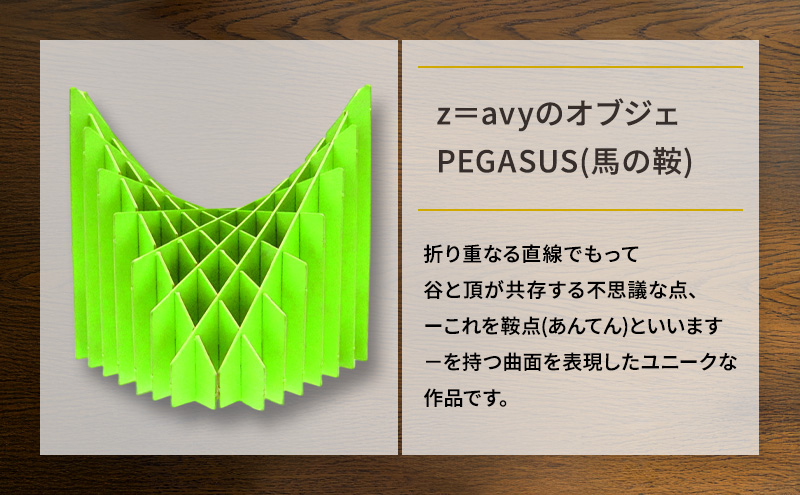 数楽クラフトセット PEGASUSI 波紋 2つの2変数関数のセット 数楽アート 数楽クラフト 組み立て 数学 数式の美しさ 馬の鞍 三角関数 アート オブジェ 立体グラフ 多変数関数 2変数関数 ユ