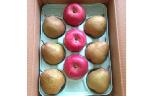 りんごとラ・フランス詰合せ　３ｋｇ　特秀品　贈答用　0007-2602
