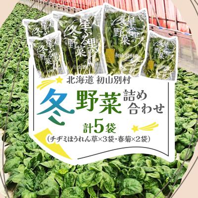 ふるさと納税 初山別村 【北海道 初山別村】冬野菜詰め合わせ5袋(チヂミほうれん草×3袋・春菊×2袋)