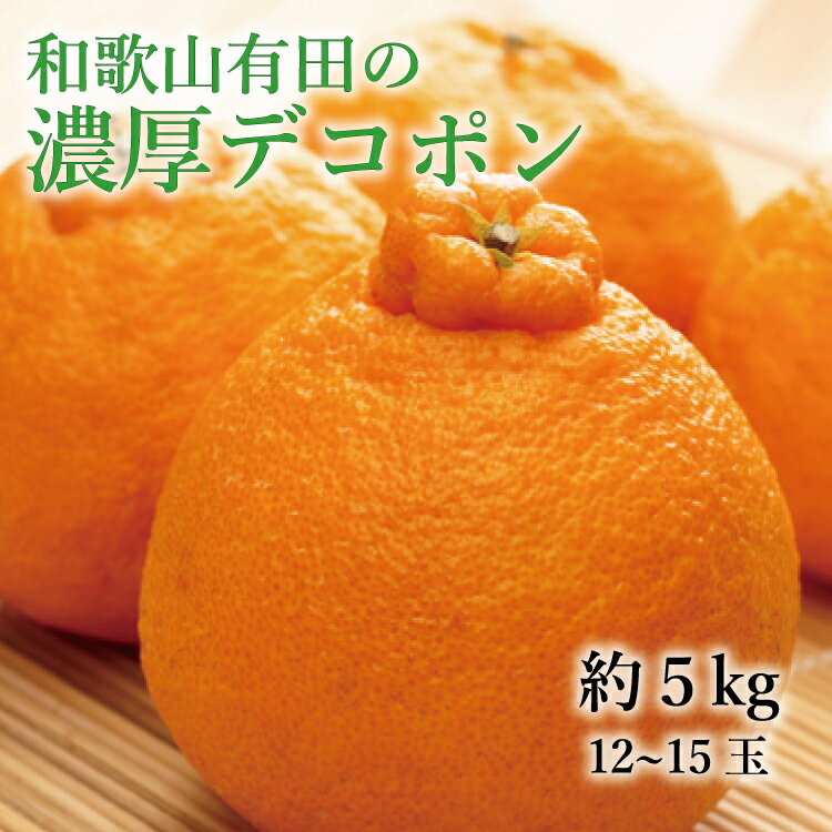 【ふるさと納税】デコポン【大人気】和歌山 有田の濃厚 大玉 デコポン 12～15玉(約5kg) / みかん ミカン 柑橘 不知火 しらぬい オレンジ フルーツ 果物 旬 ※2027年1月下旬～3月下旬頃順次発送