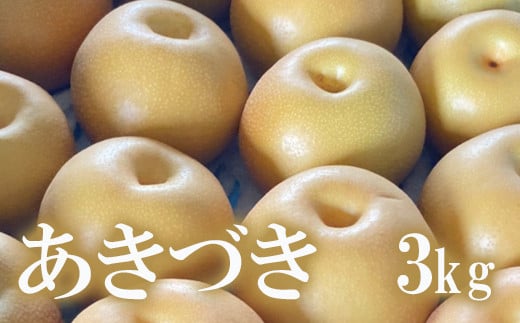 
            No.1718梨　なし　あきづき　約3kg　【2025年発送　先行予約】
          