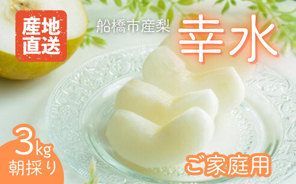 
            【2025年産先行予約】＜家庭用＞果汁たっぷりの極上梨「幸水・3kg」6～9玉 千葉県 船橋市産
          