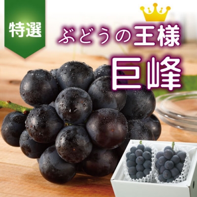 ＜2024年先行受付＞葡萄の里より　特選「巨峰(種なし)」2房 化粧箱入り　ふるさと納税