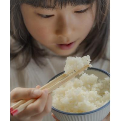 ふるさと納税 酒田市 山形県産　つや姫・雪若丸　各5kg　計10kg食べ比べ |  | 01