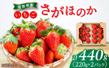 【2026年発送分 先行予約】さがほのか 220g×2パック / 佐賀県 / 鐘ヶ江農園[41ASBK005]