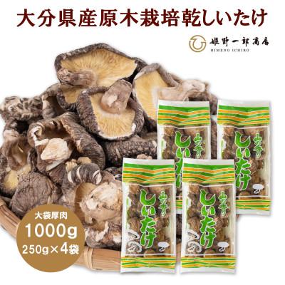 ふるさと納税 竹田市 大袋入り 大分県産原木栽培乾しいたけ 厚肉　1000g(250g4袋)