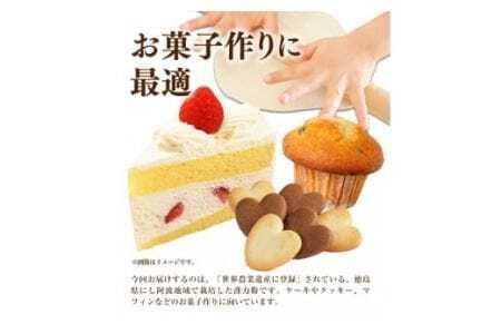 美馬市産 薄力粉 1.3kg 美馬市産 実森ラボラトリー株式会社 自家製小麦のお店mimori《30日以内に出荷予定(土日祝除く)》 送料無料 徳島県 美馬市 お菓子 パン 小麦 ケーキ