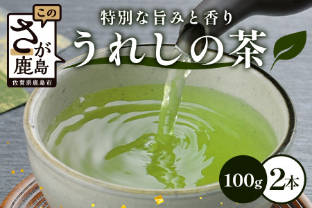 うれしの茶　2本入　詰め合わせ　B-750