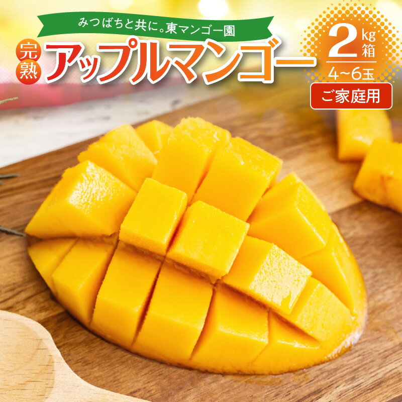 【ふるさと納税】【2026年先行予約】 ご家庭用 完熟マンゴー 2kg 4玉 〜 6玉 東マンゴー園 沖永良部産 数量 期間 限定 予約 マンゴー 果物 フルーツ アップルマンゴー 国産 家庭用 訳あり わけあり 規格外 鹿児島 和泊町 沖永良部 おすすめ ランキング プレゼント ギフト