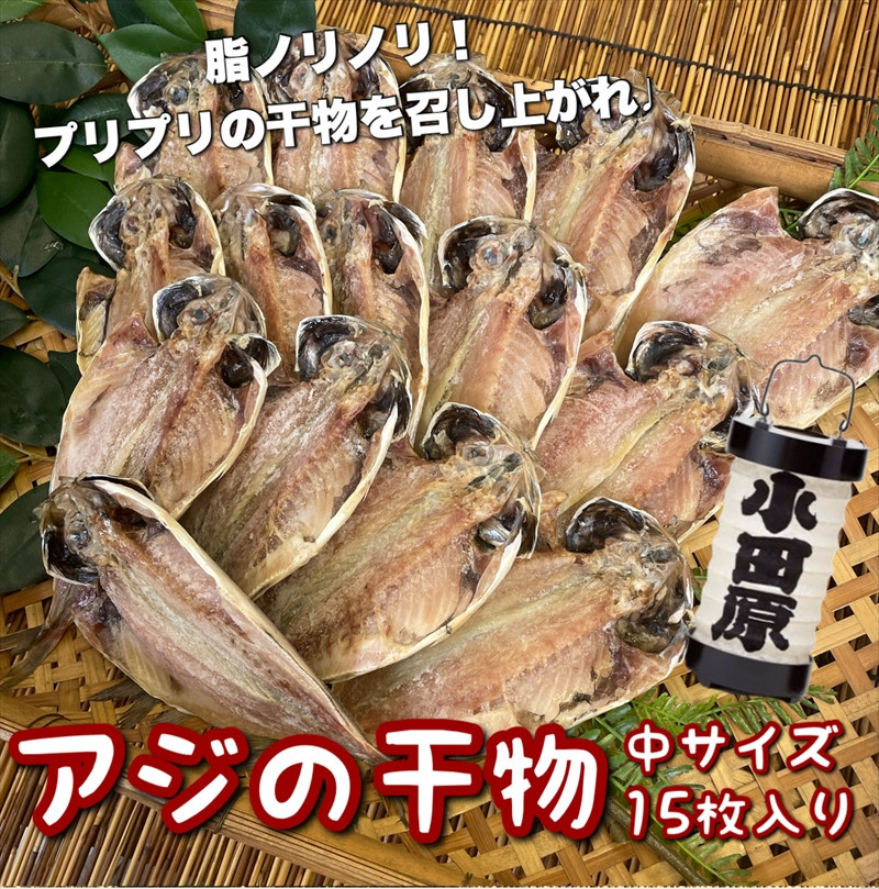 鯵の干物 中サイズ 15枚セット 142069_DQ123
