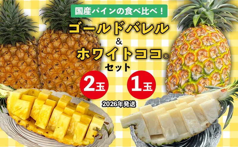 
            国産パインの食べ比べ！ゴールドバレル（2玉）&ホワイトココ（1玉）セット【2026年発送】 パイン パインアップル パイナップル ゴールドバレル ホワイトココ 数量限定 食べ比べ お試し ジューシー 希少 生産量日本一 国産 国産パイン おいしい 南国 トロピカル 予約 先行予約 沖縄 東村
          