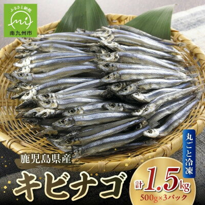 【ふるさと納税】鹿児島県産キビナゴ丸ごと冷凍1.5kg 008-65【配送不可地域：離島】【1710423】
