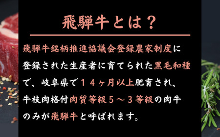 【数量限定！チルド（冷蔵）発送！】「飛騨牛」A5等級 ヒレ・サーロイン・リブロース 鉄板焼き 網焼き 焼肉 バーベキュー BBQ