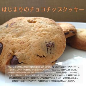 すいようや クッキーギフト 17種 45枚入り 水曜屋 岩手県 北上市 D0430 無添加 無香料 無着色 クリスマス バレンタイン ホワイトデー 誕生日 母の日 父の日 敬老の日 プレゼント ギフト