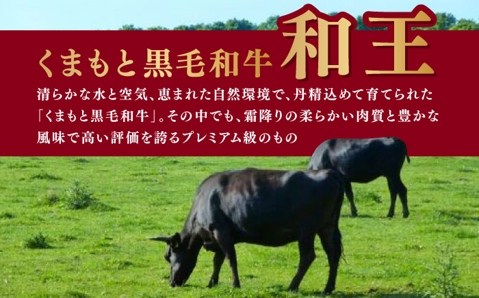 【数量限定】【全12回定期便】【訳あり】 和王 赤身 こま切れ 800g【株式会社ワンエイト】 [ZDA005]