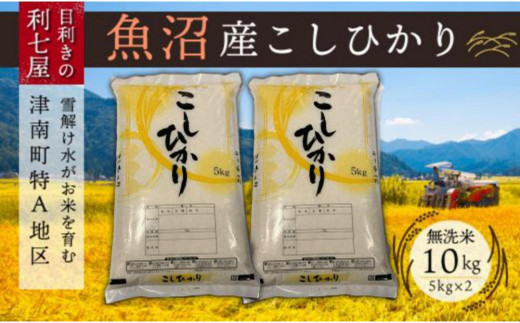 【令和8年産先行予約】 【魚沼産コシヒカリ 無洗米 10kg（5kg×2袋）】 雪解け水がお米を育む、津南町特A地区の美味しいお米。| 新潟産コシヒカリ 新潟県産コシヒカリ 魚沼産こしひかり 米 お米