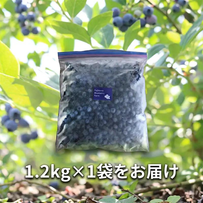 訳あり ブルーベリー 冷凍 1.2kg   blueberry