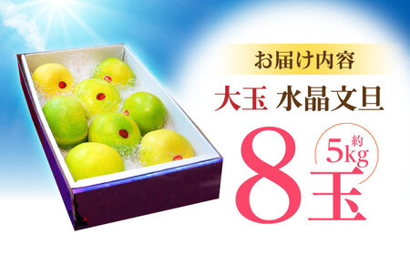 【先行予約】南国土佐の女王柑橘 水晶文旦 約5kg 8玉入り〈2025年9月中旬～2025年12月下旬頃発送〉/ 大玉サイズ 文旦 ぶんたん フルーツ 果物 5キロ 高知県【フルーツショップオザキ】 