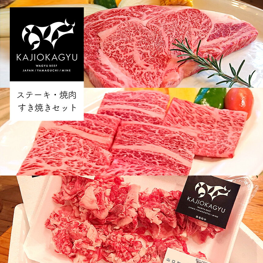 【ふるさと納税】 梶岡牛 ステーキ・焼肉・すき焼きセット ｜ お取り寄せ グルメ ステーキ 焼肉 牛 牛肉 肉 にく すき焼き セット 詰め合わせ 冷凍 特産品 山口 美祢 美祢市 熟成 肩ロース こま切れ 発酵飼料