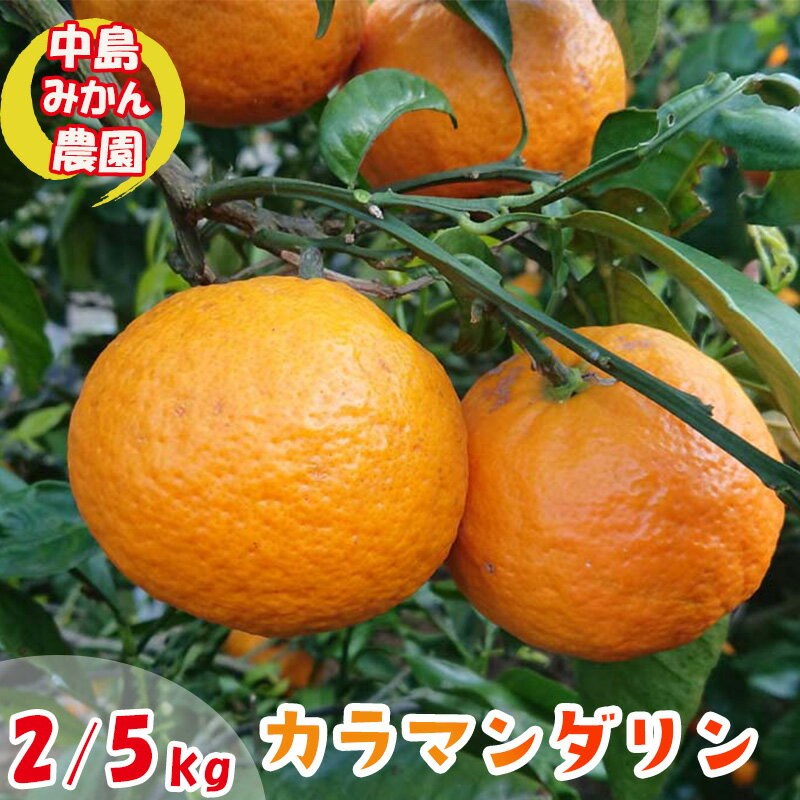 【ふるさと納税】 【2026年5月から発送】春 みかん カラマンダリン 家庭用 2kg/5kg｜みかん 蜜柑 旬 わけあり 訳あり 甘い 柑橘 果物 フルーツ 糖度 中島みかん農園 愛媛 松山