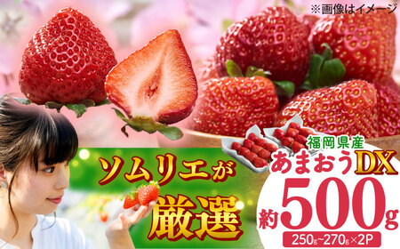 【2025年12月上旬より順次発送】冬あまおうDX 2P[BGAG020] 苺 イチゴ あまおう くだもの 果物