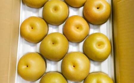 浅岡農園 の 梨 約5kg 豊水 秋月 新高 甘太 果物 大分県産 【2025年9月上旬-11月上旬発送予定】