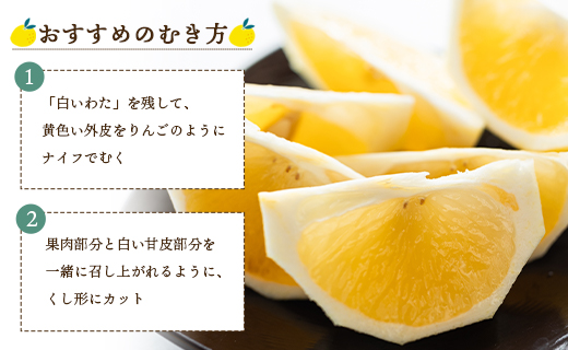 【2026年出荷分】【贈答用】ハウス小夏(日向夏) 5kg 高知 土佐 こなつ 果物 フルーツ 土佐の高知のくだもの畑 【先行予約】 - 柑橘 おいしい 国産 贈答用 お礼 御礼 kd-0032