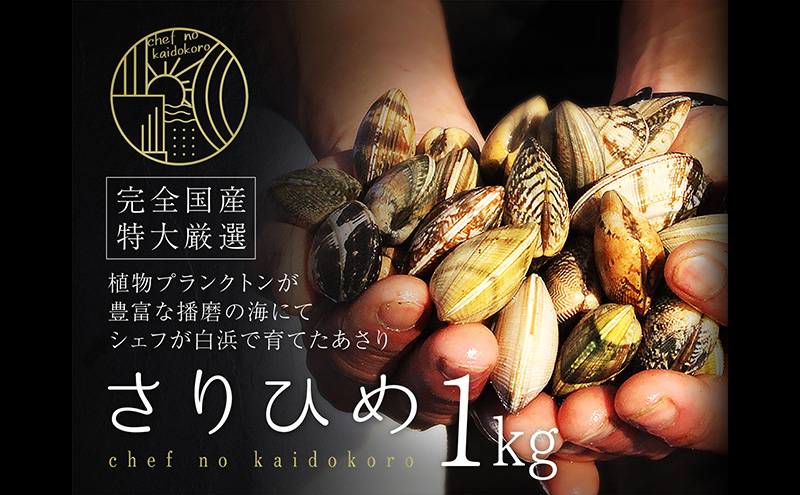 
            [№5258-0917]【2026年２月上旬出荷予定】さりひめ】姫路産養殖活あさり 特大1kg 貝類 贈答品 ギフト シェフ 身入り 甘い 加熱 白浜
          