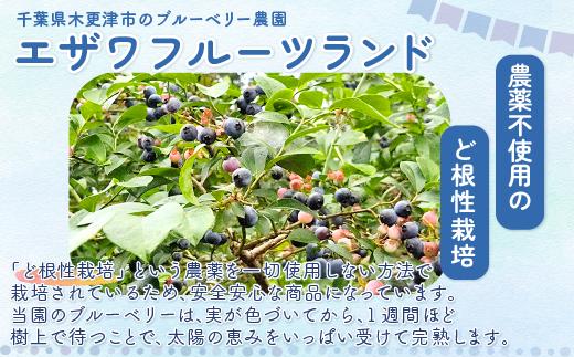 ＜甘みの強いブルーベリーゼリー誕生！＞ブルーベリーの森ゼリー18個 ふるさと納税 ブルーベリー ゼリー コラーゲン スイーツ おやつ 美容 健康 千葉県 木更津 送料無料 KT002