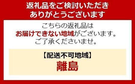【24枚入り×4パック】大人用おむつ リフィール　快適下着　薄型パンツ　ＳＳサイズ　２４枚入 NAD-SS24-4