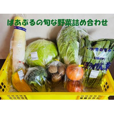 ふるさと納税 野田村 ぱあぷるの旬な野菜詰め合わせ