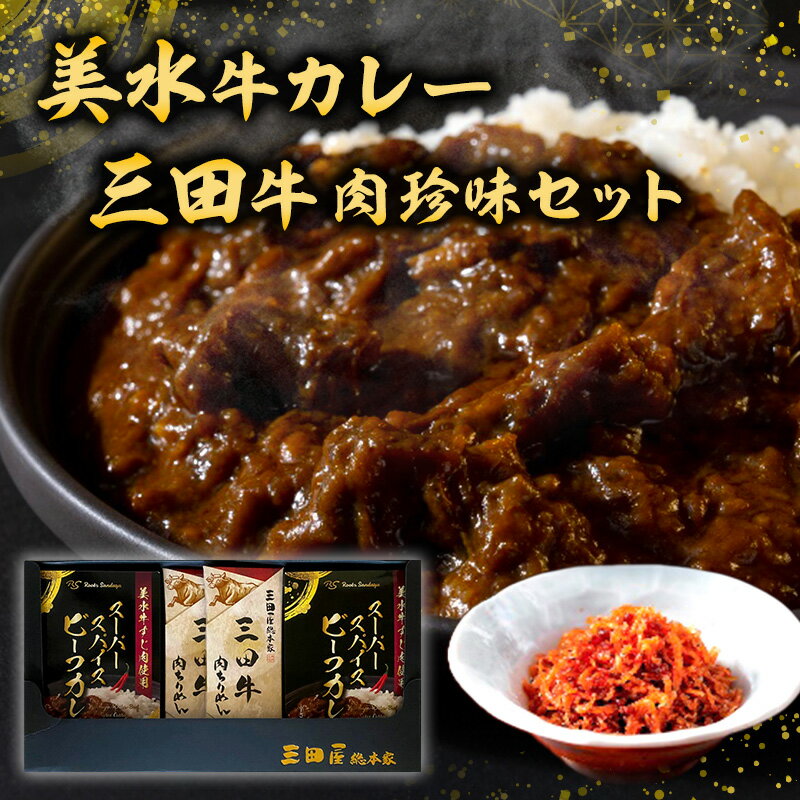 【ふるさと納税】美水牛 カレー・三田牛 肉珍味 セット レトルトカレー レトルト 珍味贈答品 中元 歳暮 お中元 お歳暮 新年 年末 贈り物 ギフト 食品 ギフト ふるさと納税 ふるさと 人気 おすすめ 送料無料 兵庫県 三田市 [ 3d28bae590014 ] レビューキャンペーン